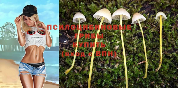 apvp Балахна