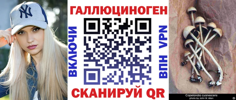 Купить где  Омутнинск  Псилоцибиновые грибы Psilocybine cubensis 