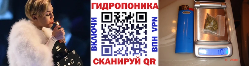 Купить закладки  Омутнинск  Каннабис планчик 
